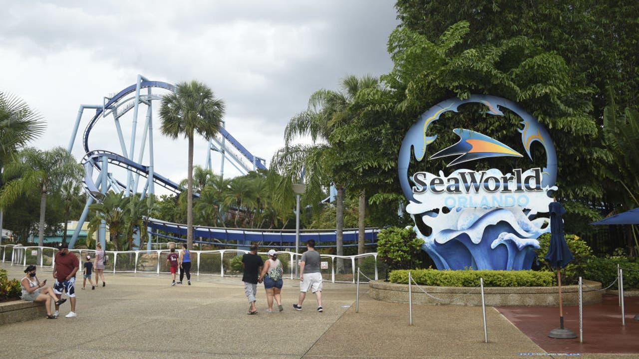 SeaWorld Entertainment reportó una pérdida de $9 millones en el primer trimestre