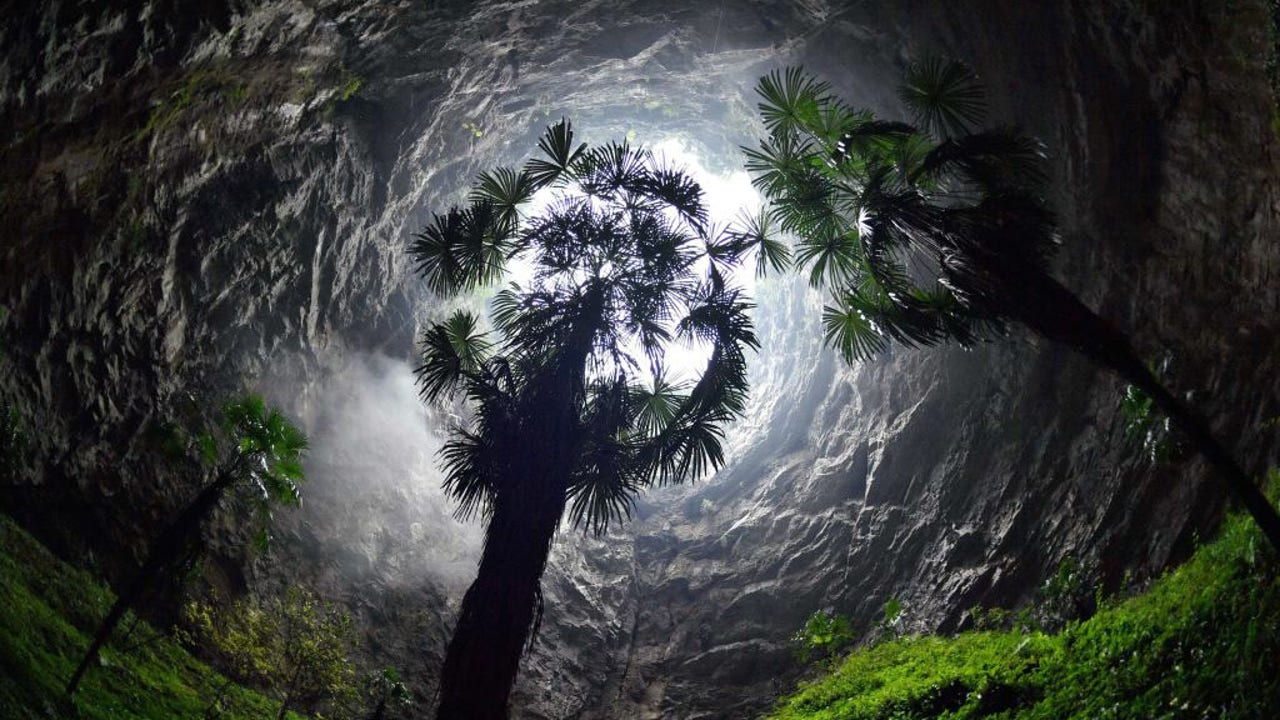 陥没孔/Sinkhole LEA Southern China sinkhole discovered, home to towering ancient trees