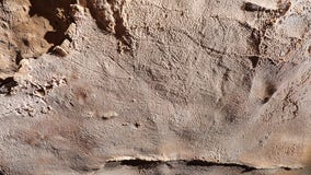 Ancient cave art discovered in Alabama is largest-known in North America
