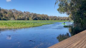 Seminole County to receive $688K to restore Little Wekiva River