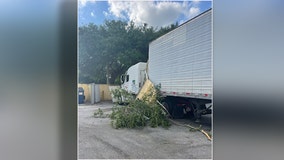 ‘I was smoking my meth pipe’: Florida man totals tractor-trailer during delivery to Publix shopping center