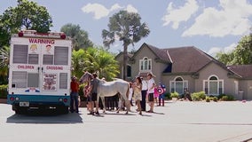 Florida mansion opens doors to kids with medical conditions, with help from nonprofit Smiles Fur Miles