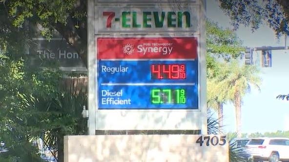 Gas prices hit new record high in Florida, topping national average