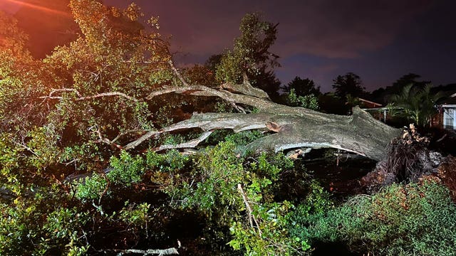 Large tree falls during Saturday storms, damaging homes, Leesburg Fire Rescue says