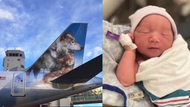 Frontier Airlines flight attendant helps deliver baby on Florida-bound plane