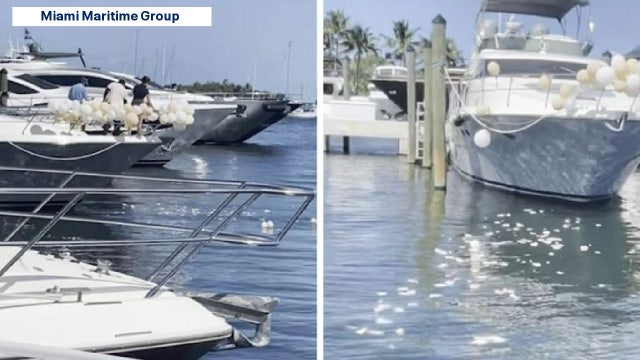 Viral video shows people pop balloons on yacht, sending scraps into ocean; 1 person arrested
