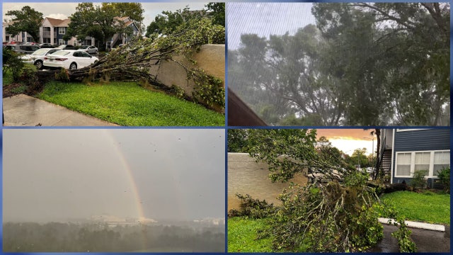 Florida Weather Forecast: downed tree limbs, hail, and rainbow in Sunday storms