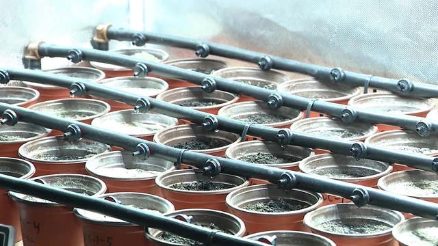 Life in space: UCF students studying ways to build homes, farm food in space