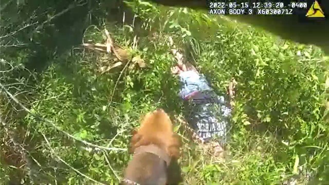 Hillsborough sheriff's K9 tracks down missing woman with dementia