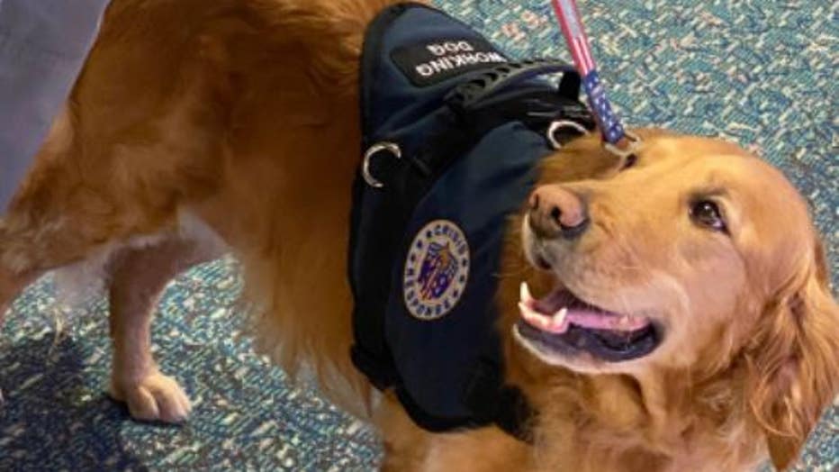 Central Florida Therapy Dogs Head To Texas To Support Grieving Families