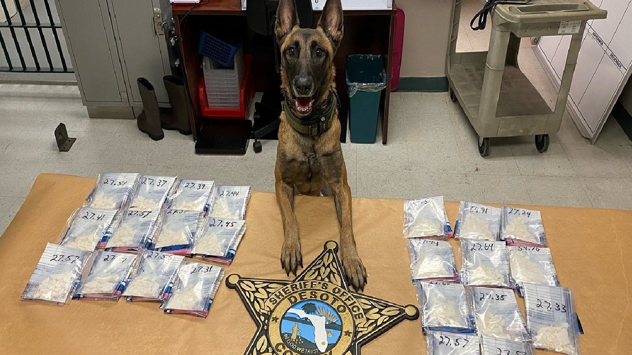 Florida grandmother brought baby, drugs to prison visit, deputies say - Vimarsana News