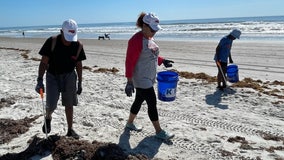 36-plus pounds of trash collected in Cocoa Beach by Red Lobster and PepsiCo volunteers