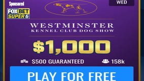 Make your picks, watch on FOX and win on Westminster Kennel Club Dog Show