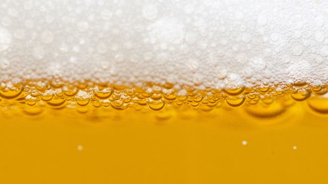 New restaurant opening in O-Town West in Orlando: World of Beer Bar & Kitchen