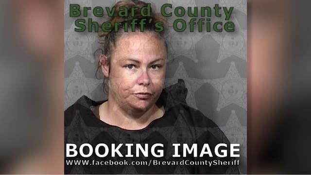 Florida woman accused of defrauding potential adoptive agency out of nearly $15,000, officials say