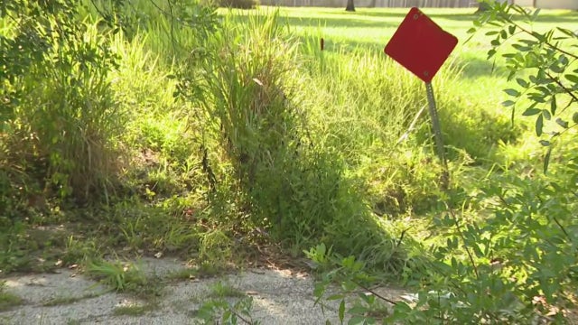 Deputies ID Florida couple in their 80s found dead in Brevard County ditch; deaths believed to be accidental