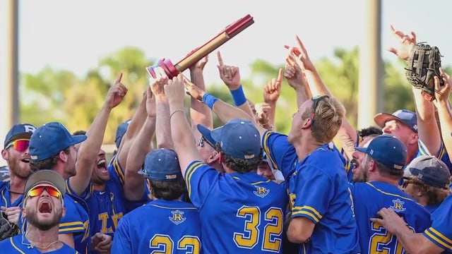 Rollins College baseball team to play in D2 College World Series