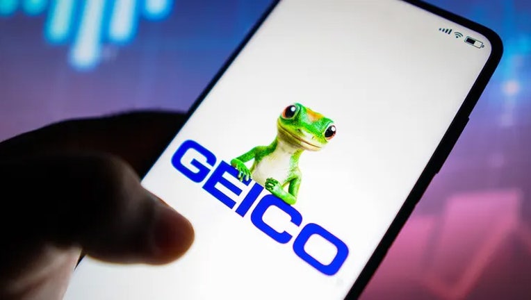 GEICO-STD-Lawsuit-copy.jpg