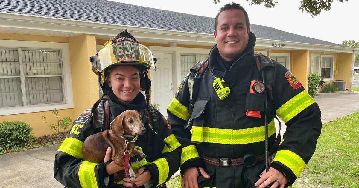 Central Florida firefighters rescue dog from fire at retirement ...