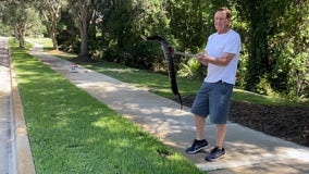 Yikes! Four-foot venomous snake found slithering in Florida neighborhood