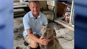 Police officer whose dog alerted him to house fire returns to work