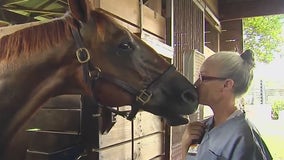 Florida inmates paired with retired racehorses, giving both a second chance