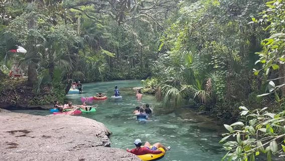 5 natural springs in Central Florida to visit this summer