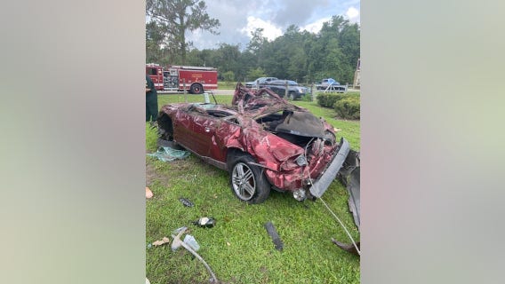 Officials: 1 dead, 1 seriously hurt after car crashes into large tree in Alachua County