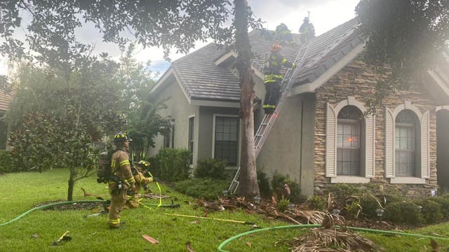 Lightning strikes tree outside Palm Coast home, causing fire, officials say