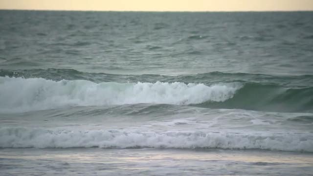 6-foot shark bites surfer at New Smyrna Beach in Florida; second shark bite within a week