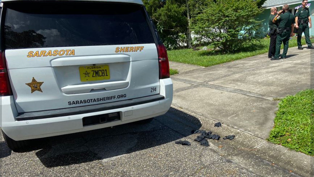 Sarasota deputies shoot, kill armed man accused of pointing a gun at them after threatening his girlfriend - Vimarsana News