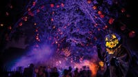 Universal: Multi-night Halloween Horror Nights tickets now on sale