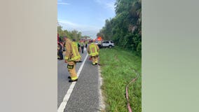 8 people hurt after SUV hits deer crossing road in Seminole County, officials say