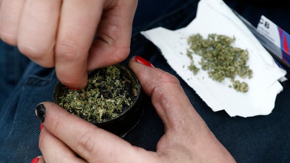 Florida recreational marijuana initiative launched