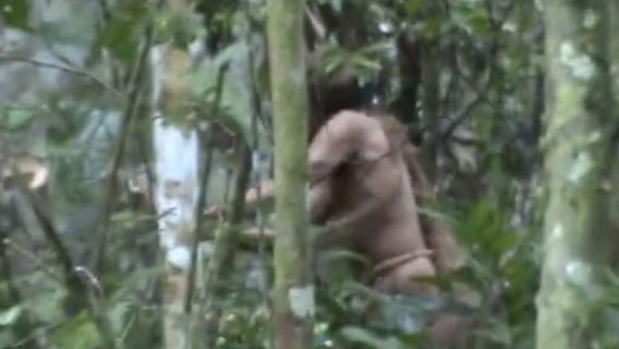 Last member of indigenous tribe in Brazil dies after resisting contact for decades