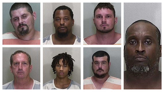 8 arrested in illegal Central Florida cockfighting operation, deputies say