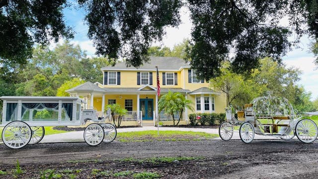 Hang with adorable farm animals at the Soul Haven Ranch in Winter Garden