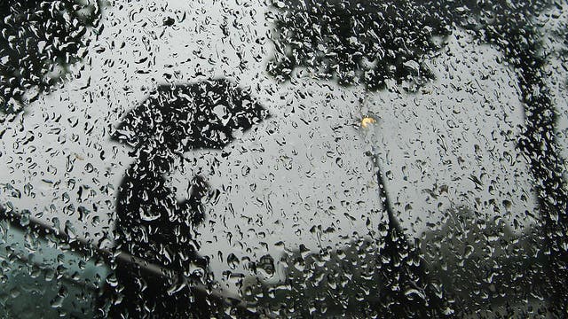 Disturbance in Gulf of Mexico to impact Florida: Here's what to expect