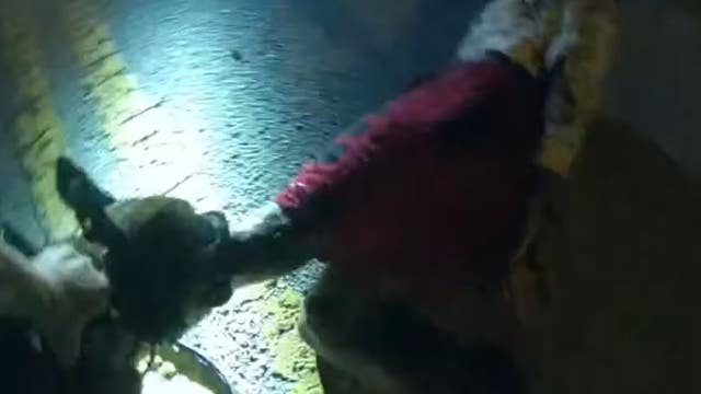 'Please get the dog!' Bodycam shows Florida K-9 taking down armed teen burglary suspect