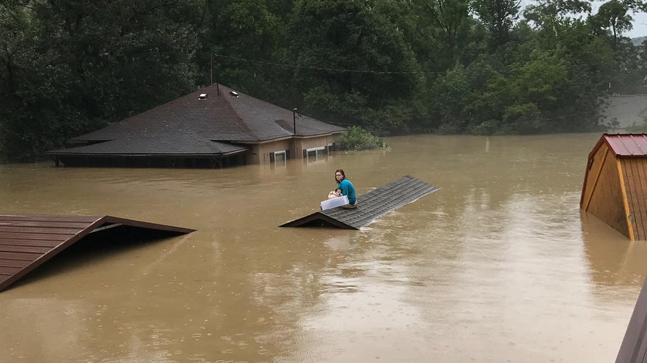 chloe adams kentucky flood roof dog rescue