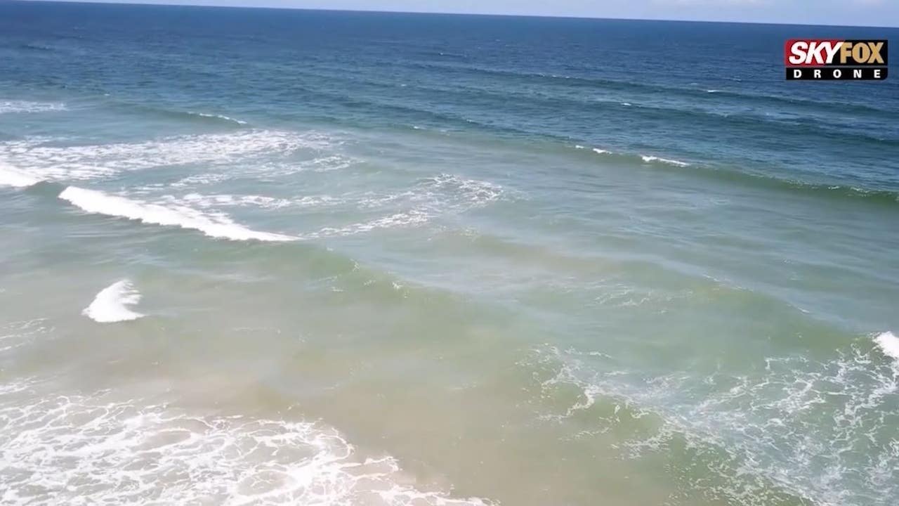 Woman Bit By Shark At New Smyrna Beach 7th Shark Bite Of This Year