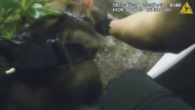 New body camera video released in arrest of Florida man who lost eye