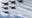 Orlando Air Dot Show cancelled, U.S. Air Force Thunderbirds pull out