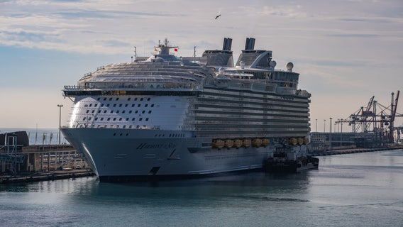 'Raining in the hallway': Royal Caribbean cruise ship soaked by freak-flooding fiasco