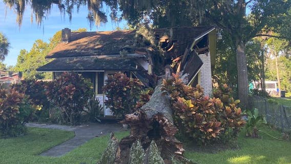 PHOTOS: Huge tree falls on Daytona Beach home, nearly misses sleeping woman inside