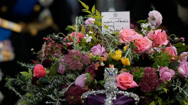 VIDEO: Spider spotted on Queen Elizabeth ll's coffin during funeral -- Why it's a good thing