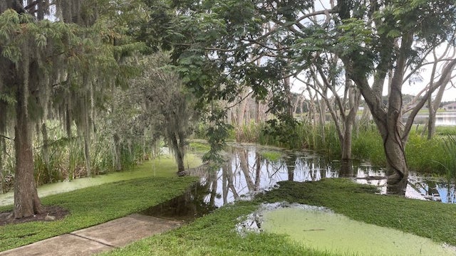 Apopka residents losing land to flooding by Clear Water Lake