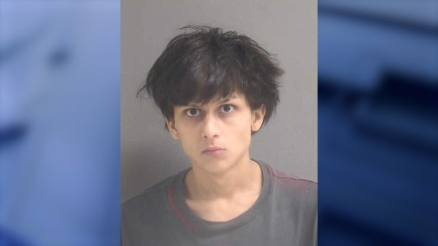 Florida teen said he shot at car 7 times to 'disable the vehicle,' during road rage fit, deputies say