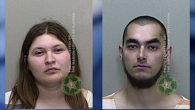 2 horses found starved, sick at Florida home in Marion County; Man, woman arrested