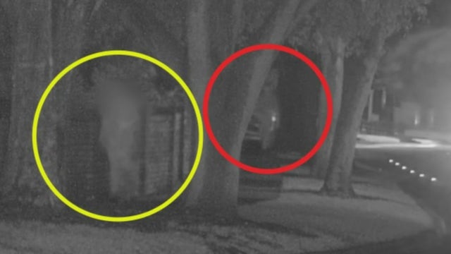 Florida woman attacked, bitten while jogging on Seminole County trail; suspect arrested